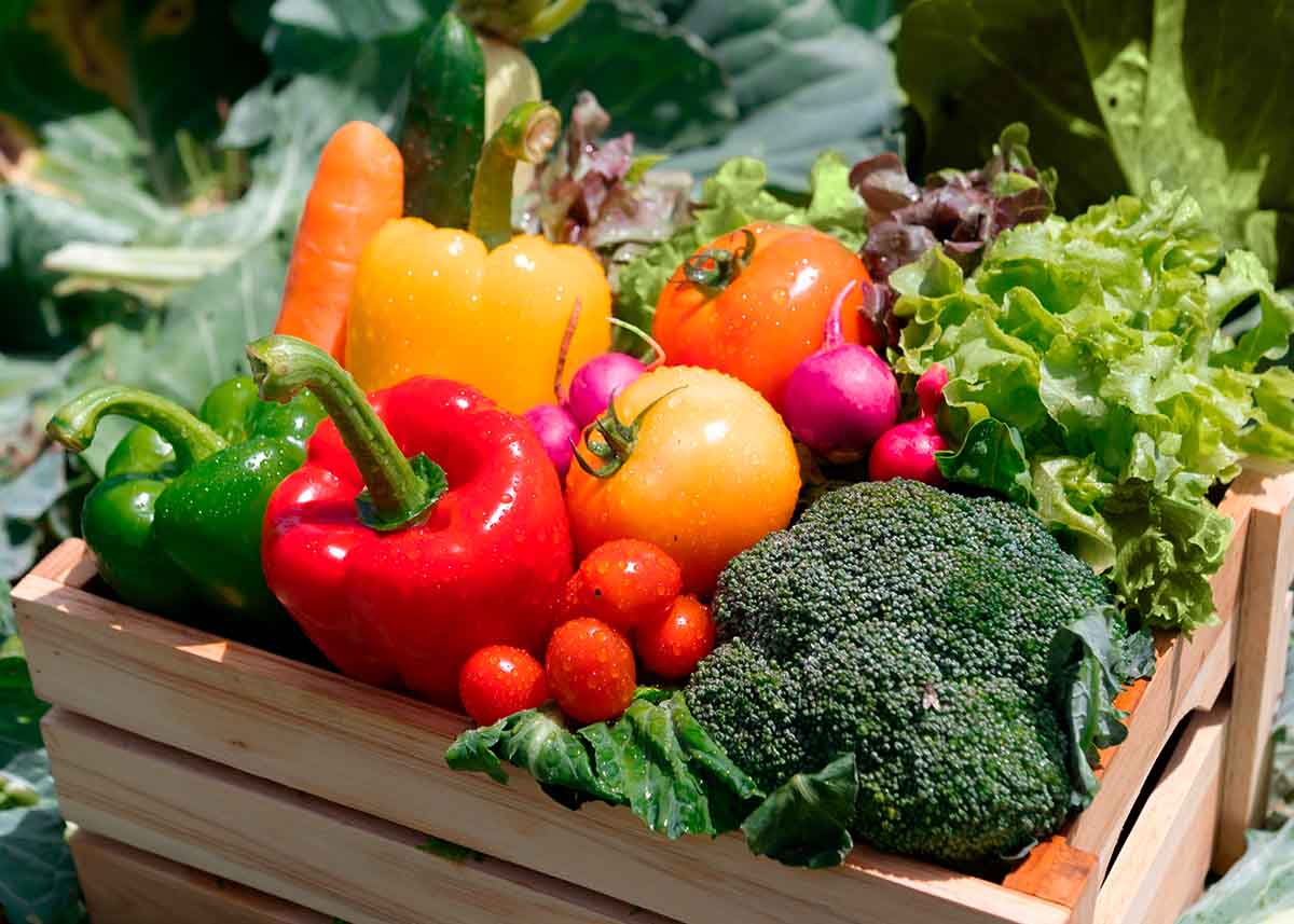 Como a Alice revolucionou a alimentação dos membros?