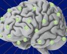 O que é serotonina e como ela age no nosso corpo? Entenda