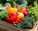 Como a Alice revolucionou a alimentação dos membros?