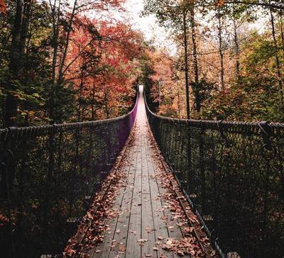 Plataforma: como escalar qualidade em Tech