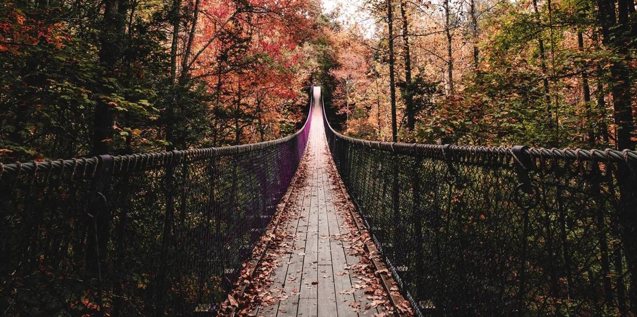 Plataforma: como escalar qualidade em Tech